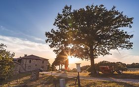 Masseria Del Bosco - Podere Palazzone